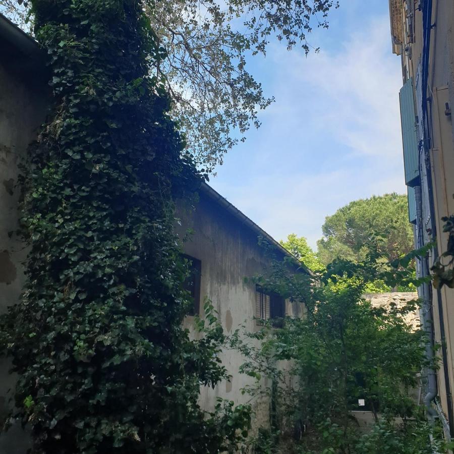 Appartement Intra Muros 8 Personnes Climatise Wifi Stationnement Facile Avignon Exterior foto